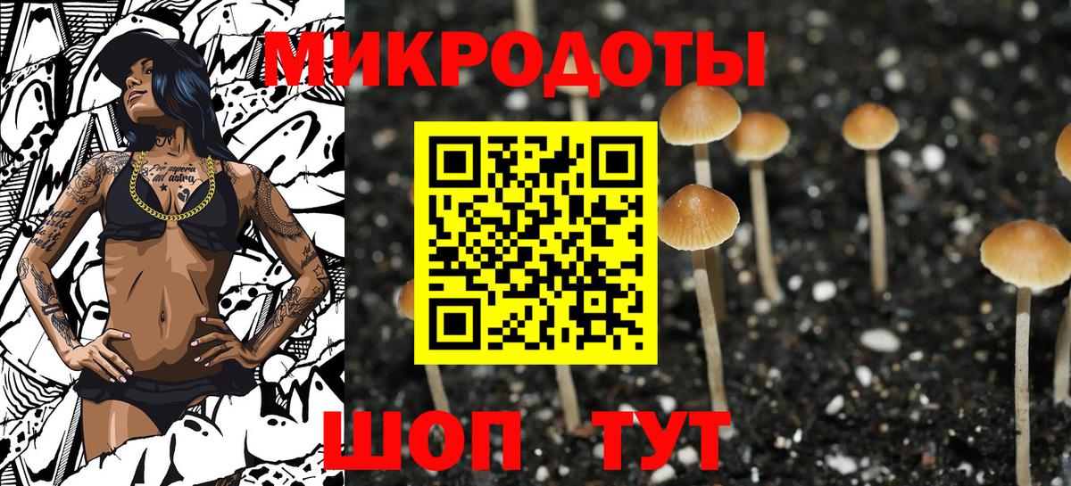 Галлюциногенные грибы Psilocybe Отрадный